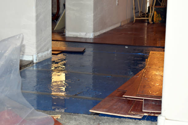 Professional Burst Pipe Cleanup technician working in Warnock, OH